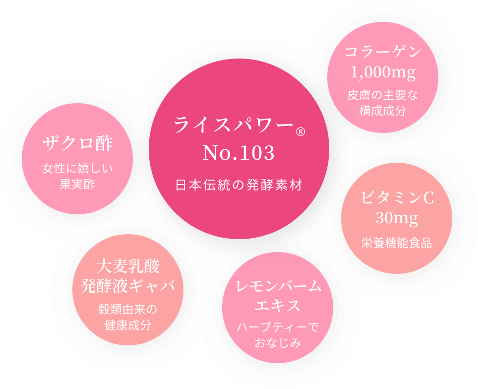 ライスパワー No.103 日本伝統の発酵素材