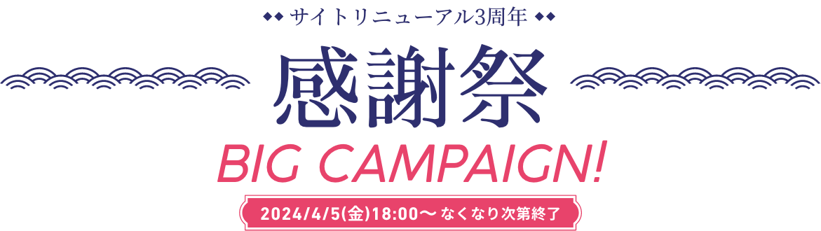 サイトリニューアル3周年 BIG CAMPAIGN!2024/4/5(金)18:00～なくなり次第終了
