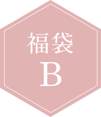 福袋B