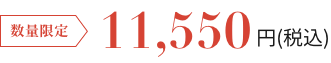 数量限定 11,550円(税込)