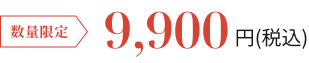 数量限定 9,900円(税込)