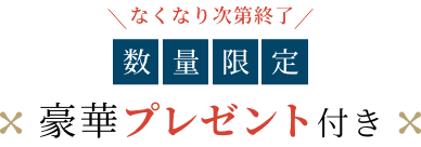 なくなり次第終了 数量限定 豪華プレゼント付き
