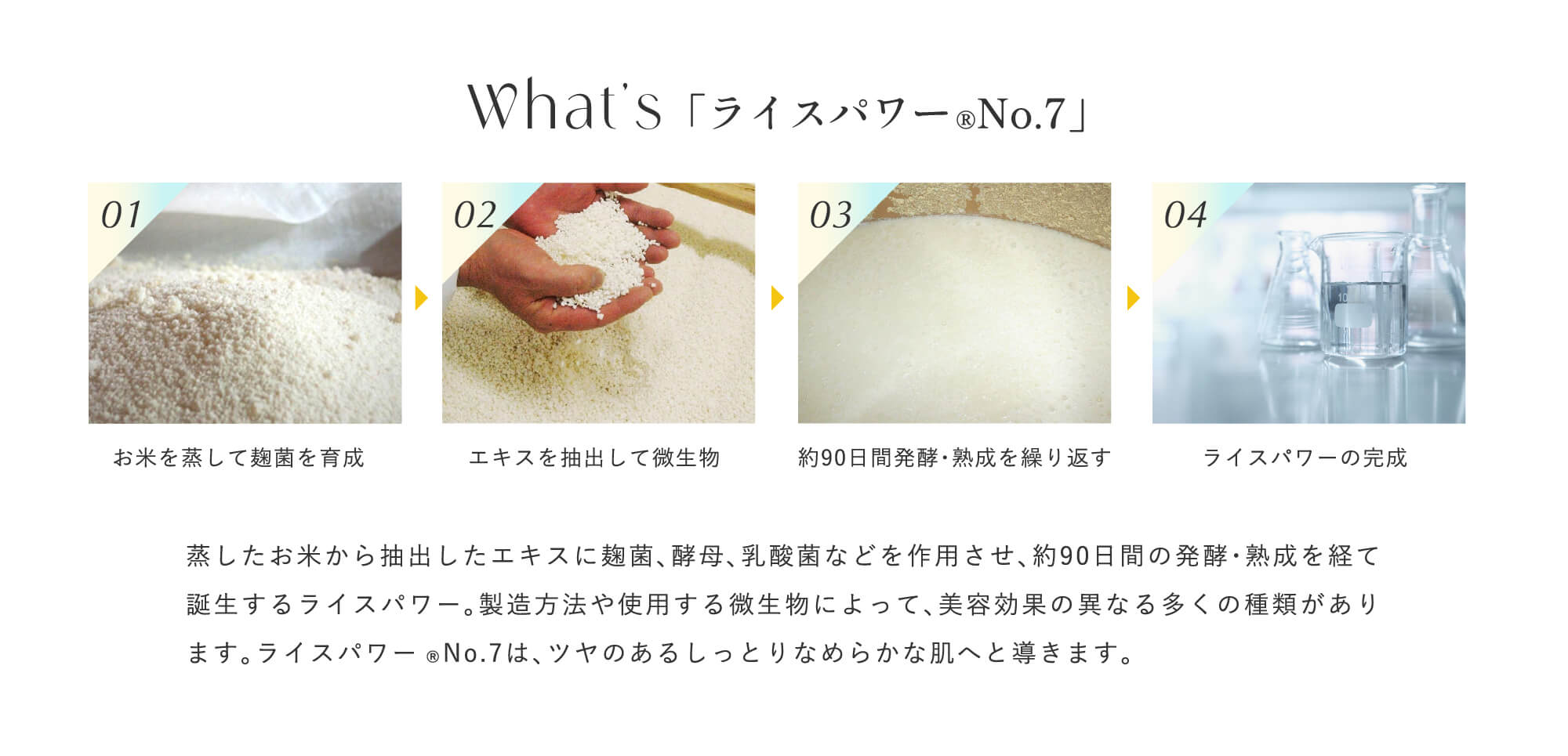 What's ライスパワー®No.7 蒸したお米から抽出したエキスに麹菌、酵母、乳酸菌などを作用させ、約90日間の発酵・熟成を経て誕生するライスパワー。製造方法や使用する微生物によって、美容効果の異なる多くの種類があります。ライスパワー®No.7は、ツヤのあるしっとりなめらかな肌へと導きます。