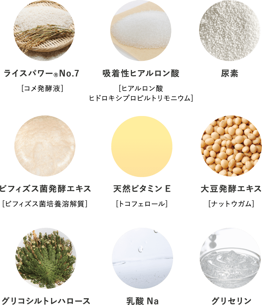ライスパワー ®No.7[コメ発酵液] / 吸着性ヒアルロン酸 [ヒアルロン酸ヒドロキシプロピルトリモニウム] / 尿素 / ビフィズス菌発酵エキス [ビフィズス菌培養溶解質] / 天然ビタミンE [トコフェロール] / 大豆発酵エキス[ナットウガム] / グリコシルトレハロース / 乳酸Na / グリセリン
