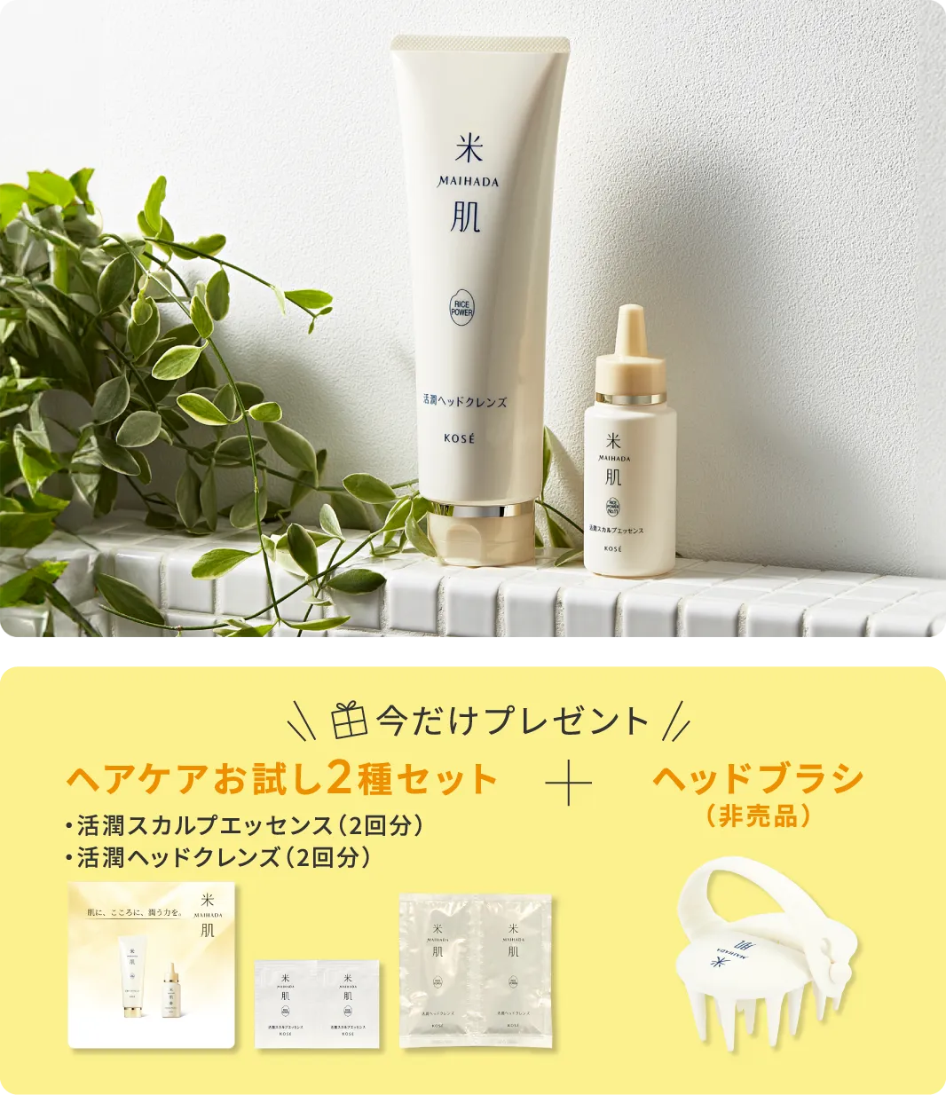 活潤スカルプエッセンスと活潤ヘッドクレンズの頭皮ケアセットの商品画像 今だけプレゼント ヘアケアお試し2種セット ・活潤スカルプエッセンス（2回分）・活潤ヘッドクレンズ（2回分）プラス ヘッドブラシ（非売品）