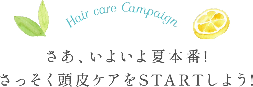 さあ、いよいよ夏本番!さっそく頭皮ケアをスタートしよう!