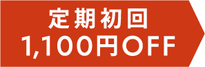 定期初回1100円オフ