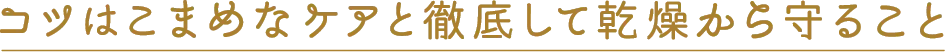 コツはこまめなケアと徹底して乾燥から守ること