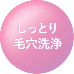 しっとり毛穴洗浄