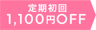 定期初回1100円オフ