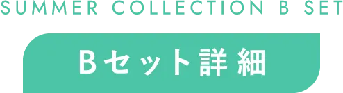 サマーコレクション Bセット詳細