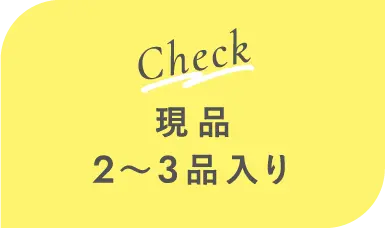 現品2～3品入り