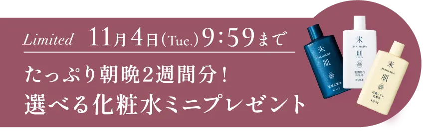 期間限定11月4日(火曜日) 9時59分まで たっぷり朝晩2週間分 選べる化粧水ミニプレゼント