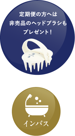 定期便の方へは非売品のヘッドブラシもプレゼント！ インバス