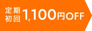 定期初回1100円OFF