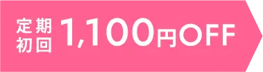 定期初回1100円OFF