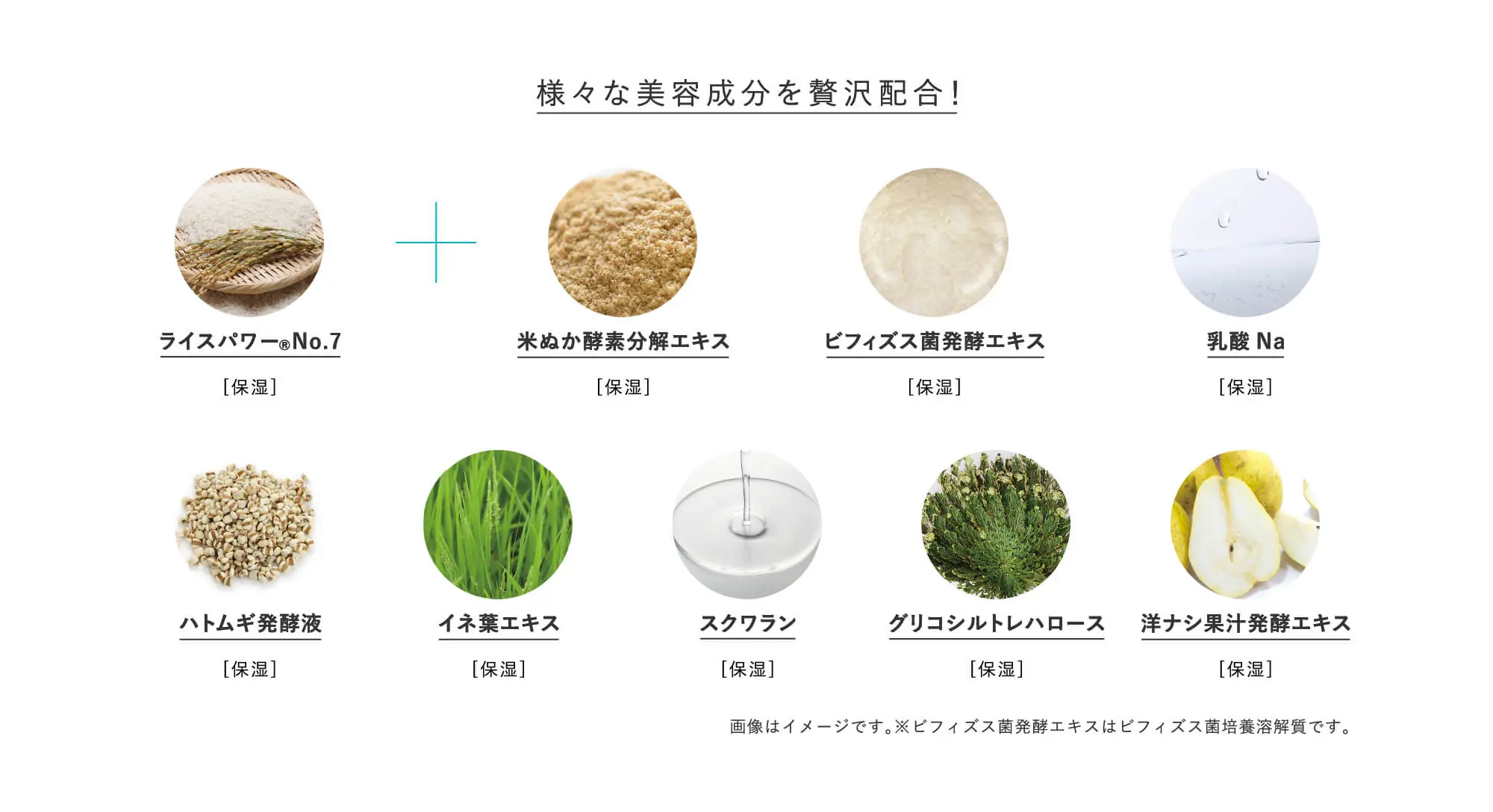 様々な美容成分を贅沢配合！ ライスパワー&reg;No.7 米ぬか酵素分解エキス ビフィズス菌発酵エキス 乳酸Na ハトムギ発酵液 イネ葉エキス スクワラン グリコシルトレハロース 洋ナシ果汁発酵エキス