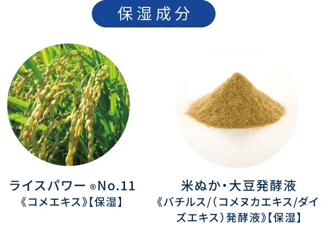 保湿成分 ライスパワー&reg;No.11《コメエキス》【保湿】 米ぬか・大豆発酵液《バチルス/（コメヌカエキス/ダイズエキス）発酵液》【保湿】