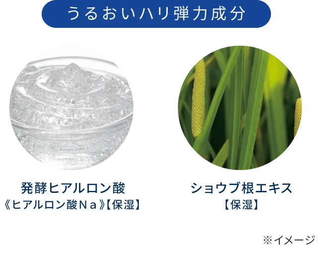 うるおいハリ弾力成分 発酵ヒアルロン酸《ヒアルロン酸Ｎａ》【保湿】 ショウブ根エキス【保湿】 ※イメージ