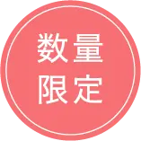 数量限定