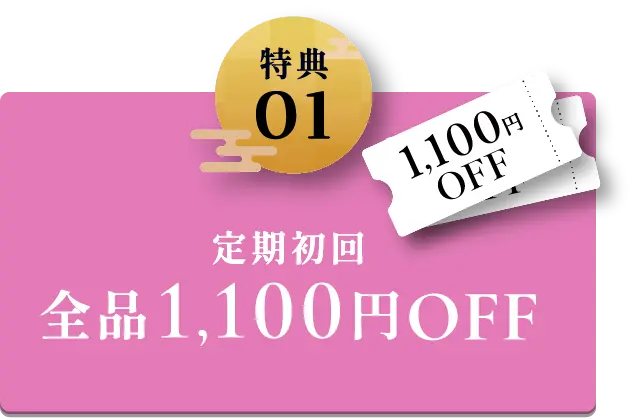 特典1 定期初回全品1,100円オフ