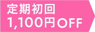 定期初回1100円OFF