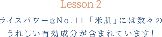 lesson2 ライスパワーⓇNo.11「米肌」には数々のうれしい有効成分が含まれています！