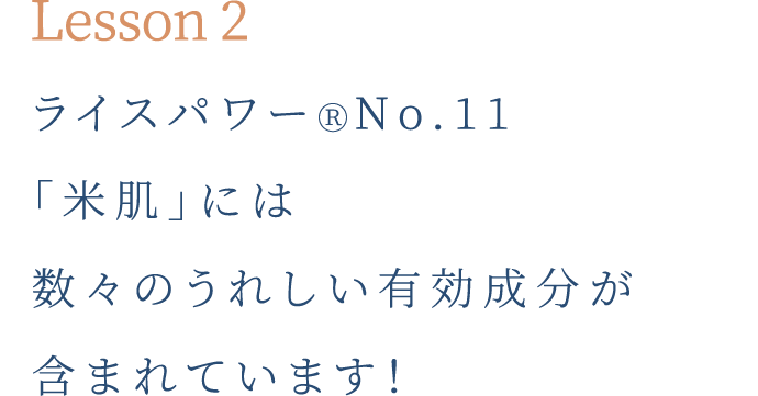 lesson2 ライスパワーⓇNo.11「米肌」には数々のうれしい有効成分が含まれています！