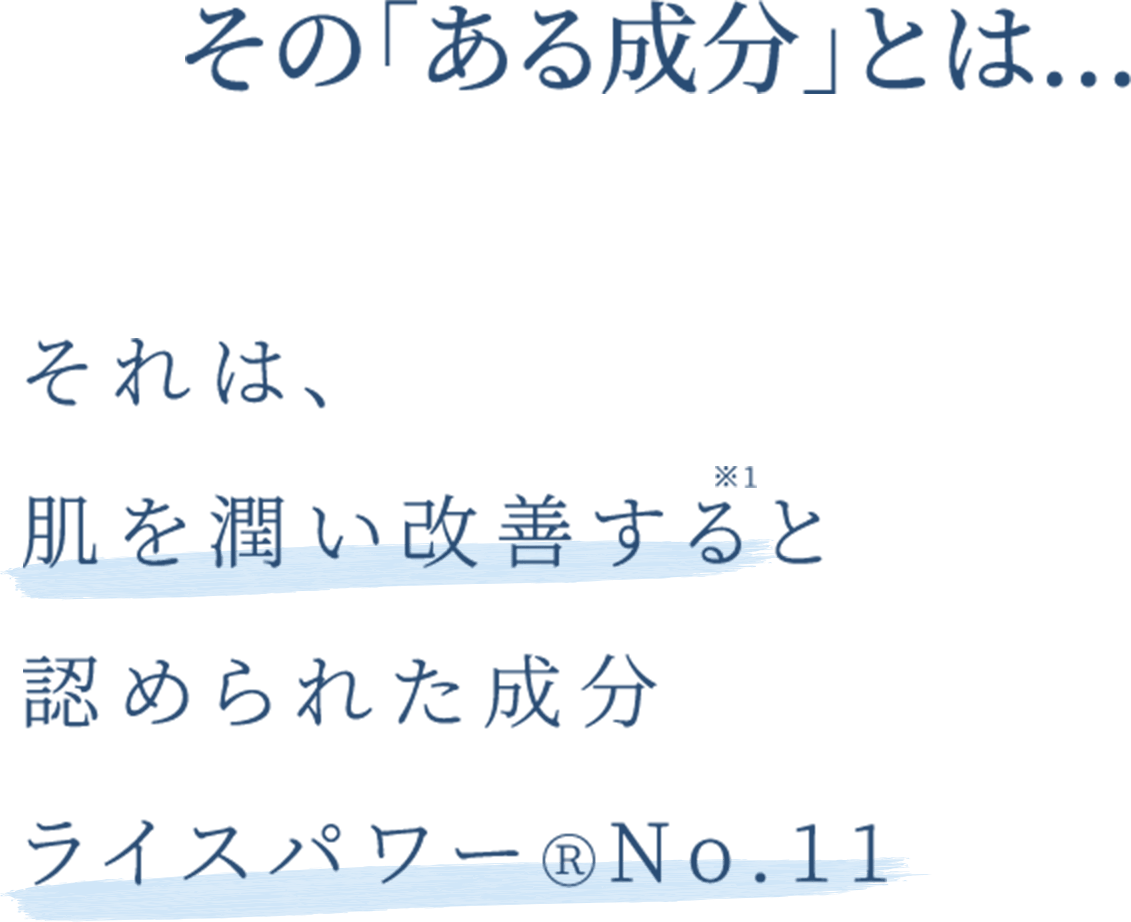 ある成分とは、それは唯一、肌を潤い改善すると認められた成分ライスパワーⓇNo.11