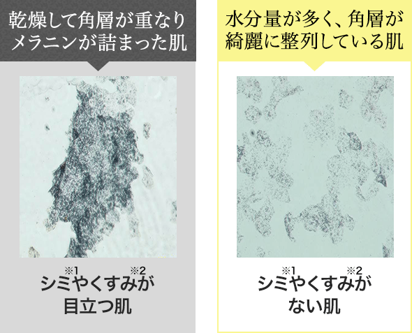 （比較図）