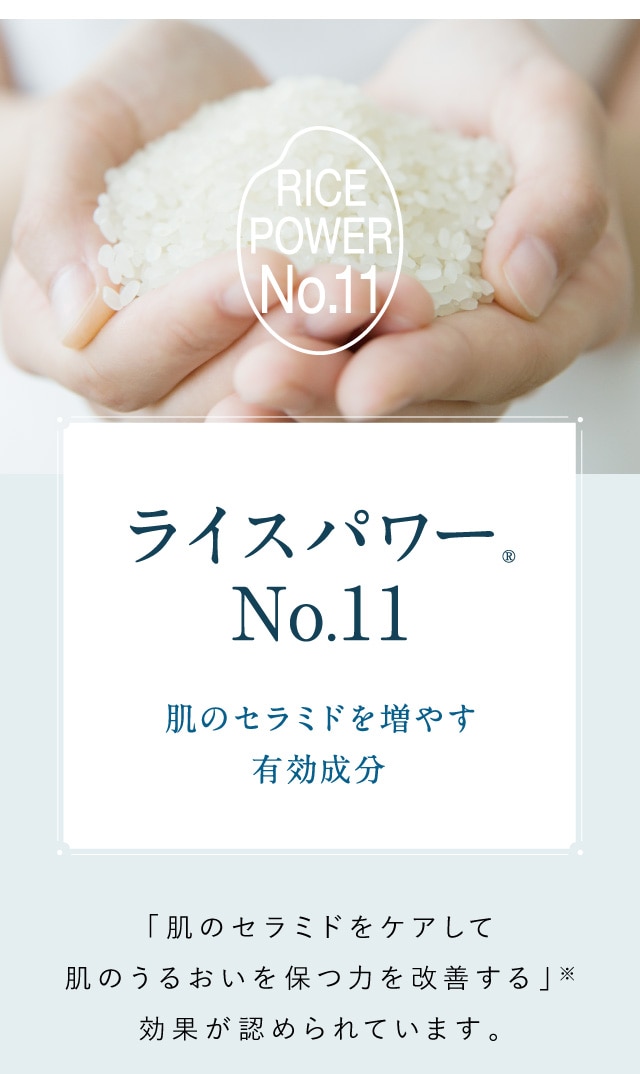 ライスパワーNo.11