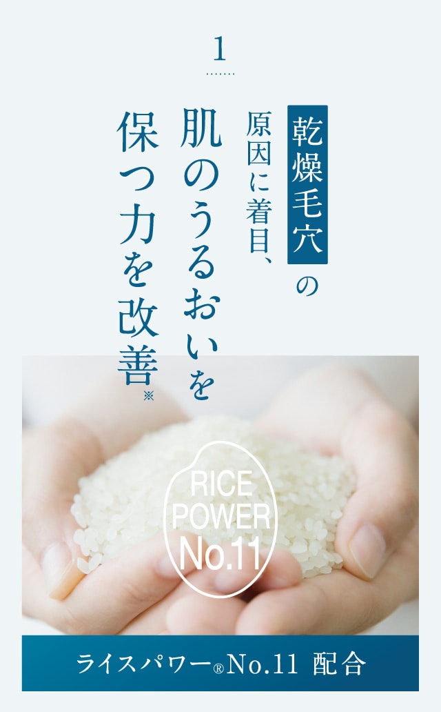 乾燥毛穴原因に着目、の肌のうるおいを保つ力を改善