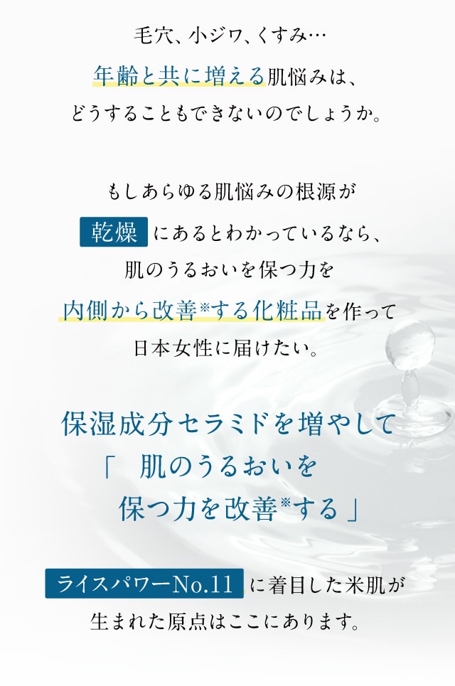 」「保湿成分セラミドを増やして肌のうるおいを保つ力を改善※する
