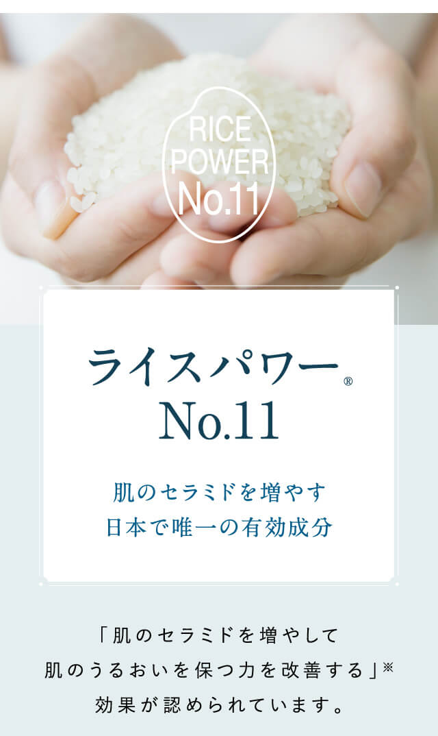 ライスパワーNo.11