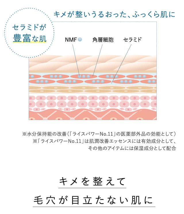 セラミドが豊富な肌