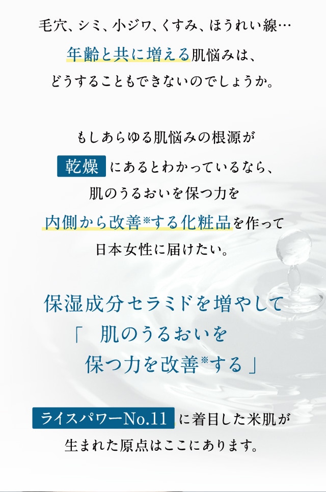 」「保湿成分セラミドを増やして肌のうるおいを保つ力を改善※する